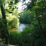 "Na tropie przyrody" - Brudzeński Park Krajobrazowy