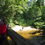 "Na tropie przyrody" - Brudzeński Park Krajobrazowy