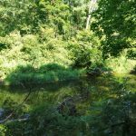 "Na tropie przyrody" - Brudzeński Park Krajobrazowy