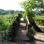 Wycieczka do Chojnowskiego Parku Krajobrazowego - projekt "Na tropie przyrody"