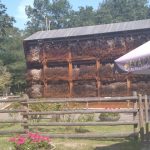 Wycieczka do Chojnowskiego Parku Krajobrazowego - projekt "Na tropie przyrody"