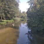 Wycieczka do Chojnowskiego Parku Krajobrazowego - projekt "Na tropie przyrody"