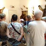 Wycieczka do Łomżyńskiego Parku Krajobrazowego Doliny Narwi - 26.08.2023 r. Projekt "Przyroda to lek, bez względu na wiek!".