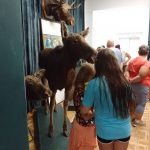 Wycieczka do Łomżyńskiego Parku Krajobrazowego Doliny Narwi - 26.08.2023 r. Projekt "Przyroda to lek, bez względu na wiek!".