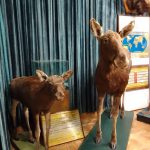 Wycieczka do Łomżyńskiego Parku Krajobrazowego Doliny Narwi - 26.08.2023 r. Projekt "Przyroda to lek, bez względu na wiek!".