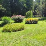 Wycieczka do Łomżyńskiego Parku Krajobrazowego Doliny Narwi - 26.08.2023 r. Projekt "Przyroda to lek, bez względu na wiek!".