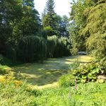 Wycieczka do Łomżyńskiego Parku Krajobrazowego Doliny Narwi - 26.08.2023 r. Projekt "Przyroda to lek, bez względu na wiek!".