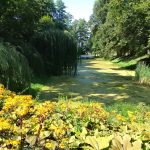 Wycieczka do Łomżyńskiego Parku Krajobrazowego Doliny Narwi - 26.08.2023 r. Projekt "Przyroda to lek, bez względu na wiek!".