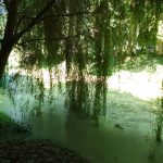 Wycieczka do Łomżyńskiego Parku Krajobrazowego Doliny Narwi - 26.08.2023 r. Projekt "Przyroda to lek, bez względu na wiek!".