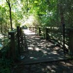 Wycieczka do Łomżyńskiego Parku Krajobrazowego Doliny Narwi - 26.08.2023 r. Projekt "Przyroda to lek, bez względu na wiek!".