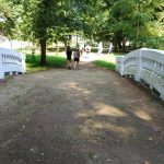 Wycieczka do Łomżyńskiego Parku Krajobrazowego Doliny Narwi - 26.08.2023 r. Projekt "Przyroda to lek, bez względu na wiek!".