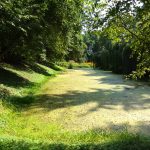 Wycieczka do Łomżyńskiego Parku Krajobrazowego Doliny Narwi - 26.08.2023 r. Projekt "Przyroda to lek, bez względu na wiek!".