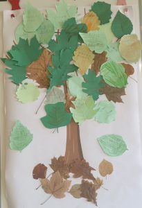 Spotkanie z panią Ewą Bartoszewską z Nadleśnictwa Przasnysz w ramach projektu „To wszystko dzięki przyrodzie!".